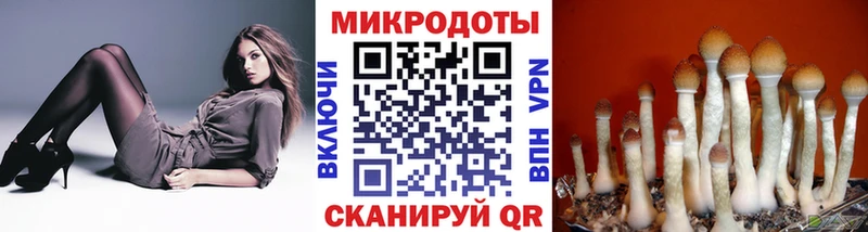 Псилоцибиновые грибы мухоморы где купить наркотик Котельнич