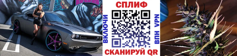 Шишки марихуана семена  OMG ссылка  Котельнич  даркнет сайт 